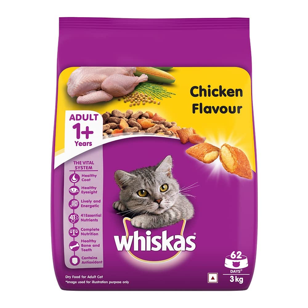 The Ultimate Guide to Choosing the Best Cat Food in India Medium
