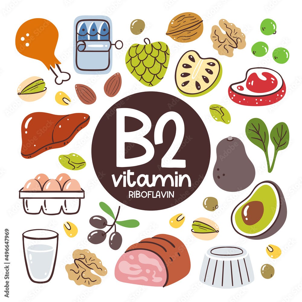 The Essential Functions of Vitamin B2 in the Body by Ankita