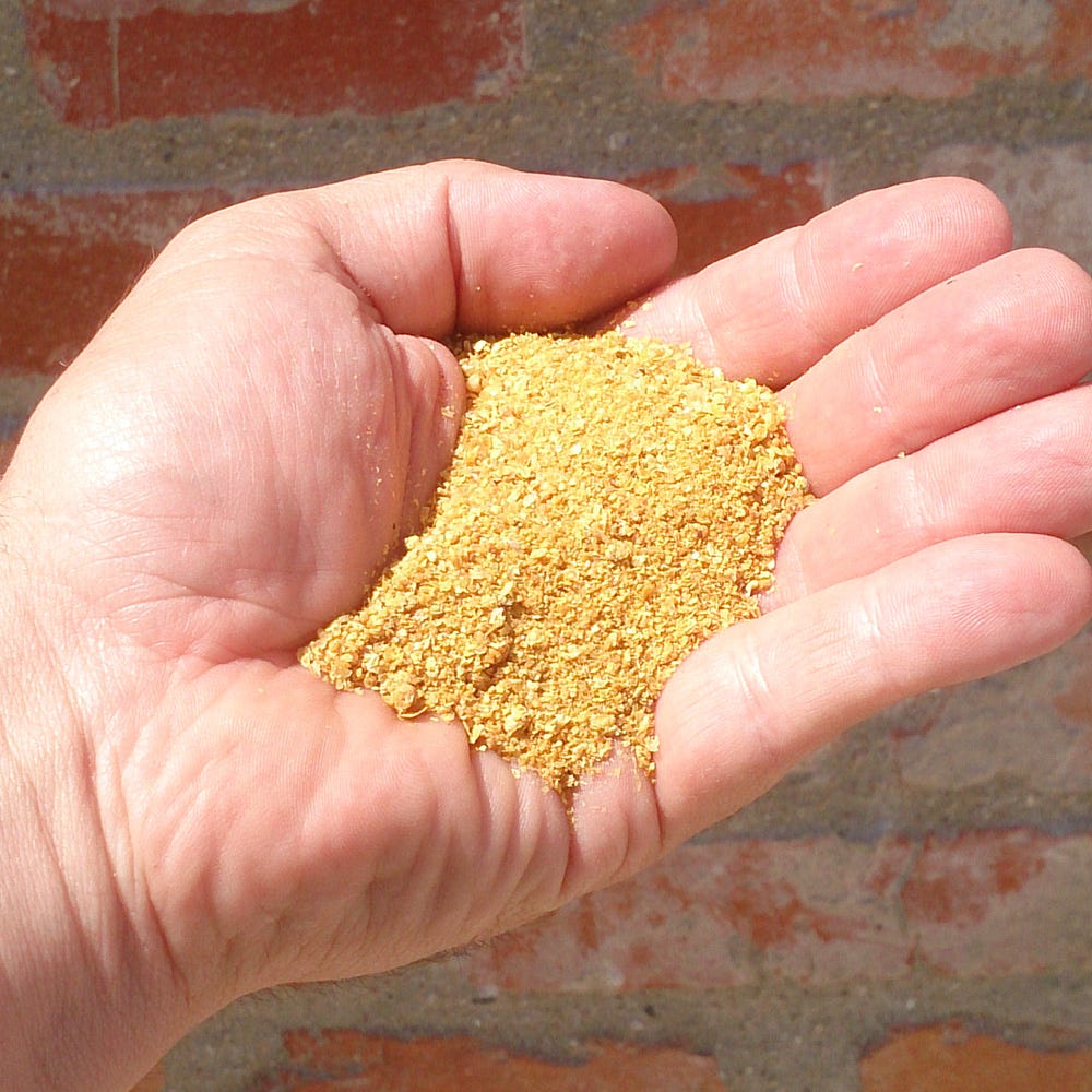 Feeding Options For Beef Cattle ddgs Products by Gaacl Alcohol Medium