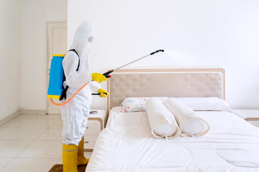 Can Bed Bugs Survive Extreme Temperatures, And How Does It Impact Pest Control Methods? by
