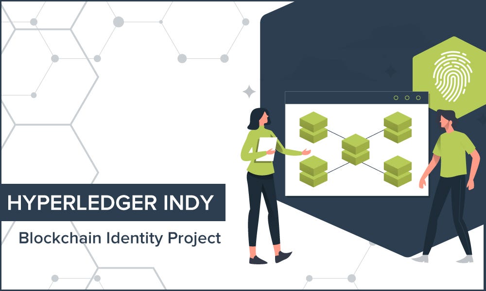 Hyperledger Indy Blockchain Identity Project by Puneet Kumar Akeo