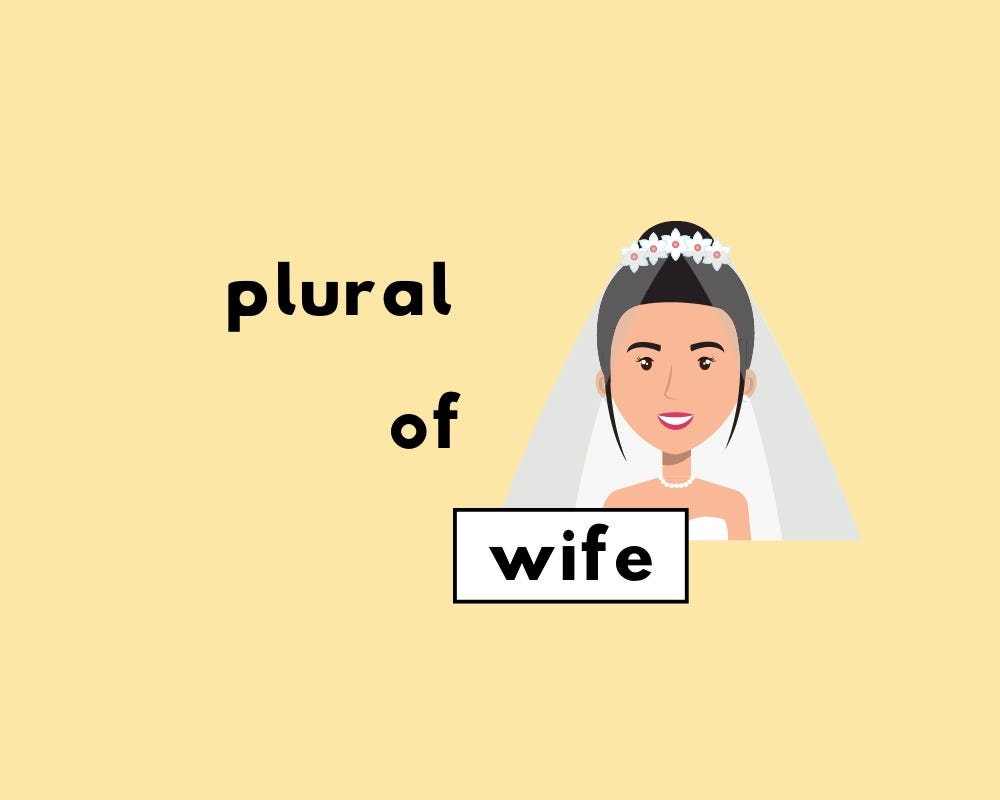 What S The Plural Of Ms at Brandon Dale blog