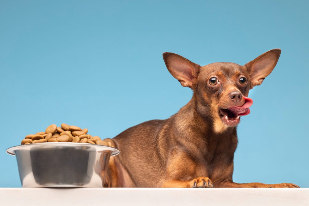Can Dogs Safely Consume Almonds, Almond Butter, and Almond Milk? by