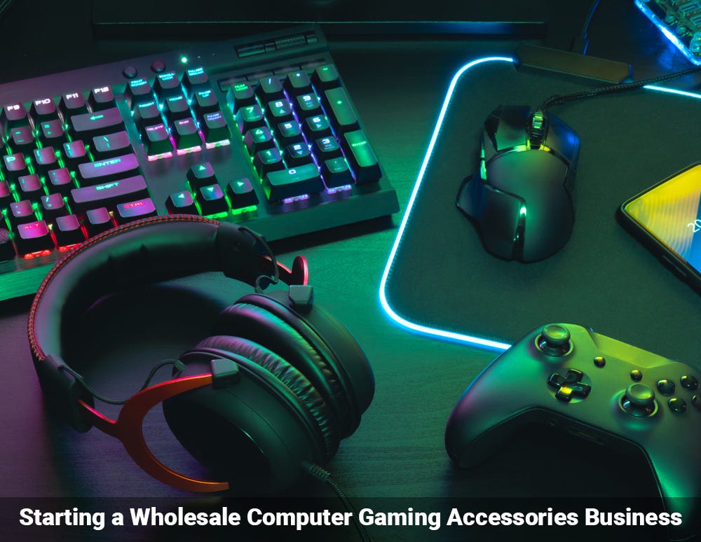 Starting a Wholesale Computer Gaming Accessories Business by iShine
