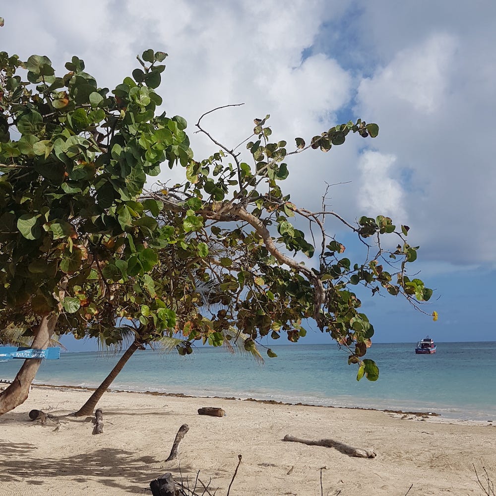 When the rug gets pulled out from underneath your feet. by Leontien