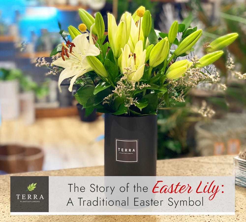 Unraveling the Mystery The Fascinating Story Behind the Easter Lily as