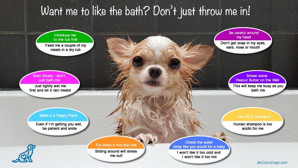 Want me to like the bath? Don’t just throw me in! by McCann Dog