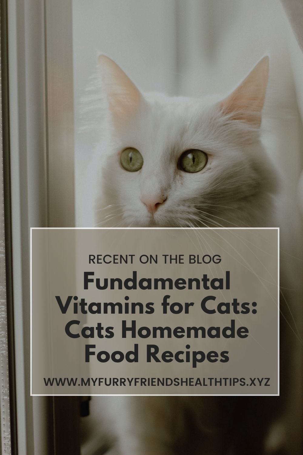 Fundamental Vitamins for Cats Cats Homemade Food Recipes by WE LOVE