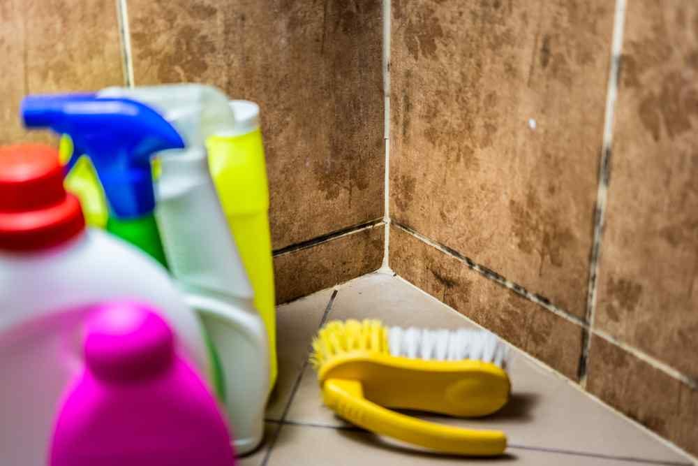 How to Get Mold Out of a Shower. Here are tips on how to get mold out