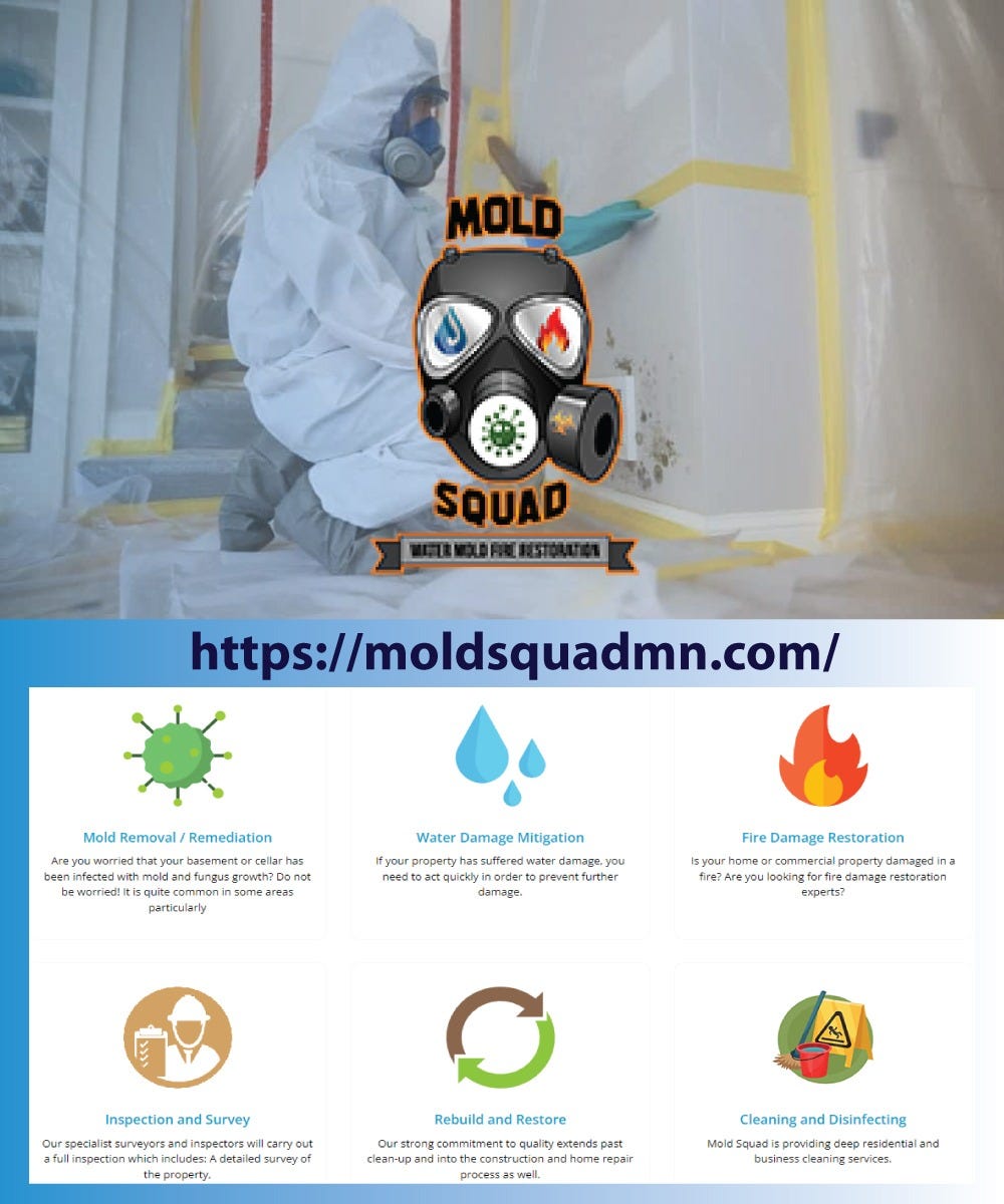 Mold Bomb Fogger Shawn T. Hunter Medium