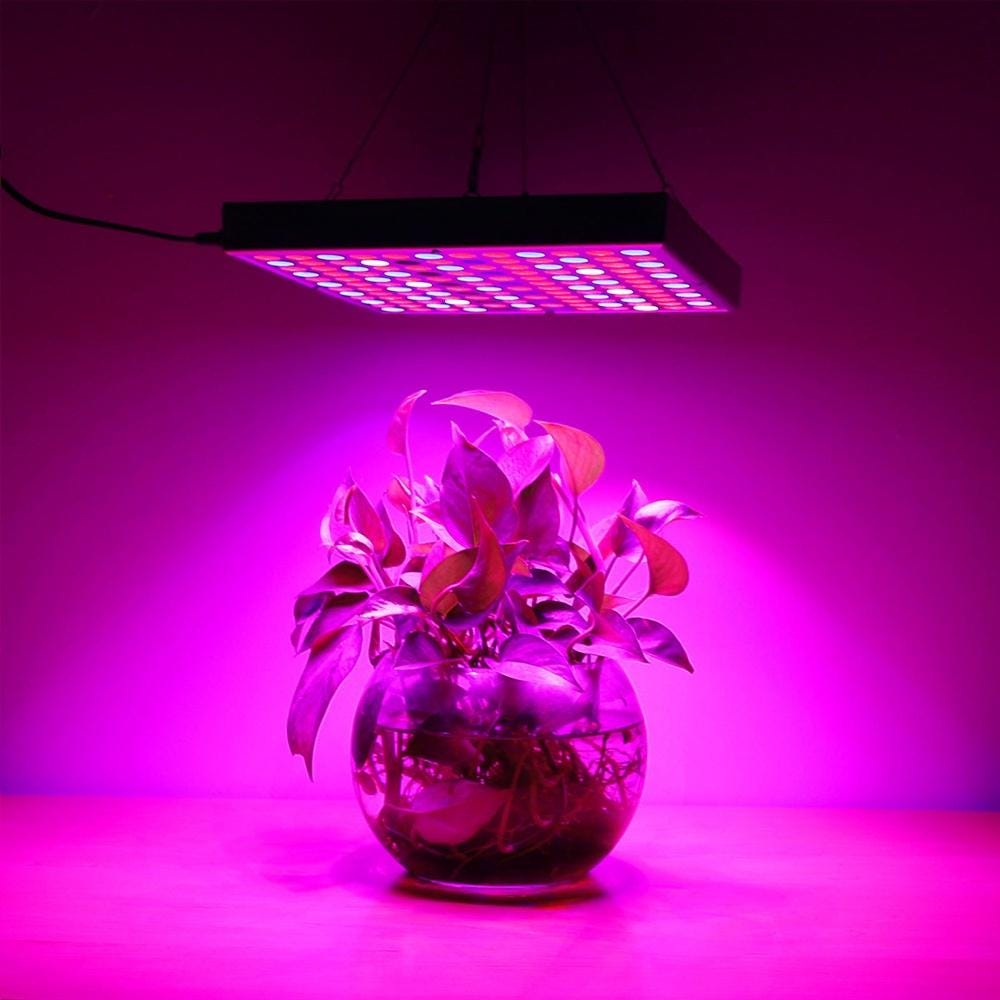 Best 200 Watts LED Grow Light. Develop lights are marked with numbers… by Remofyda Medium