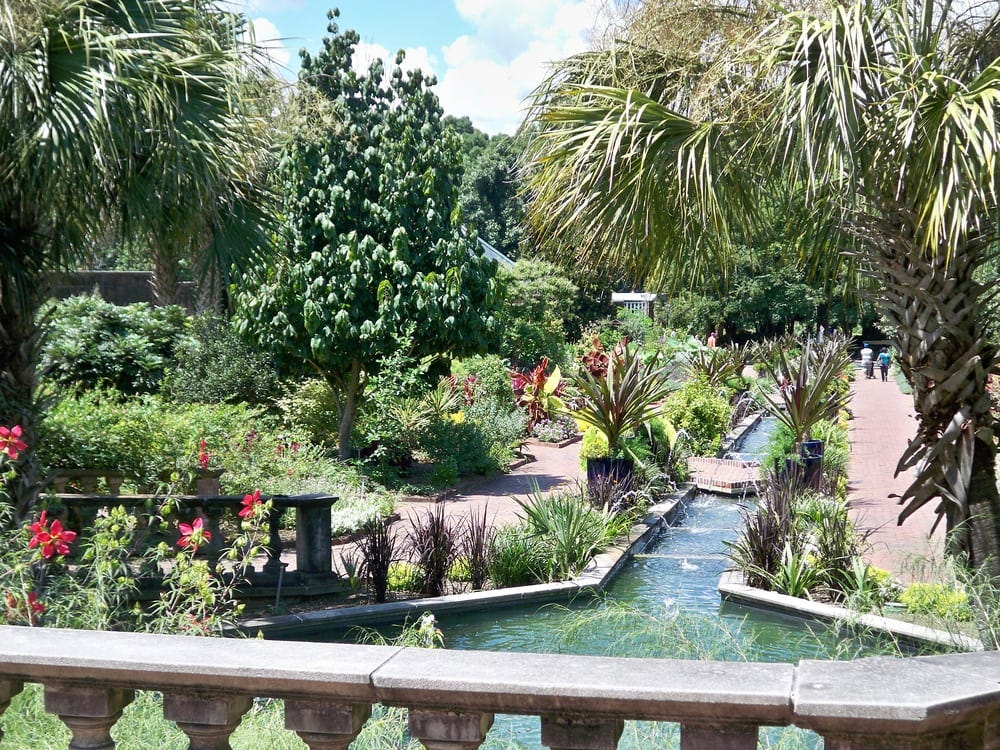 A daily guide through Riverbanks Zoo & Garden by Laura Vinson Medium