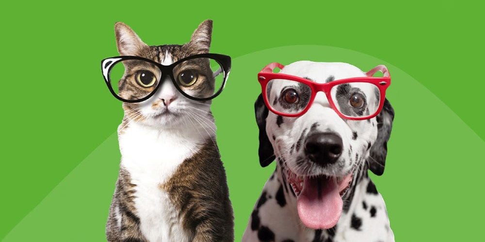 What is the average cost of pet insurance per month? by TrustedPals