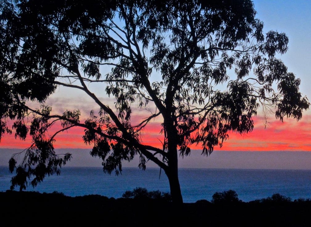 Are There Straight Lines in Nature? by David Wade Chambers Medium