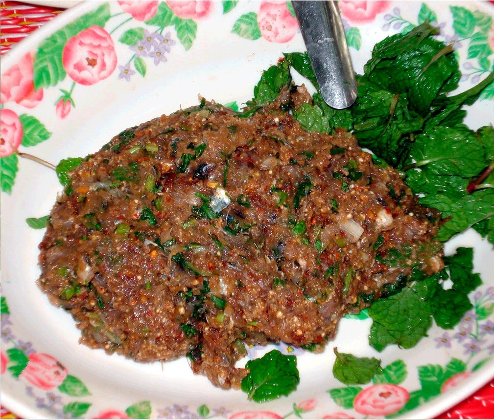 Exotic Food And Exotic Disease Part 2 by Anish Lamichhane, MD All