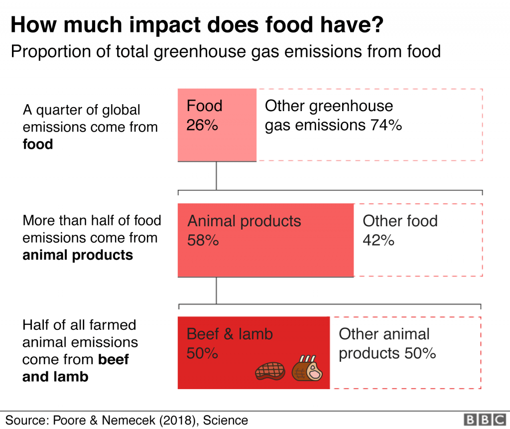DO WE NEED TO STOP EATING MEAT TO SAVE THE by Ewa Kwolek