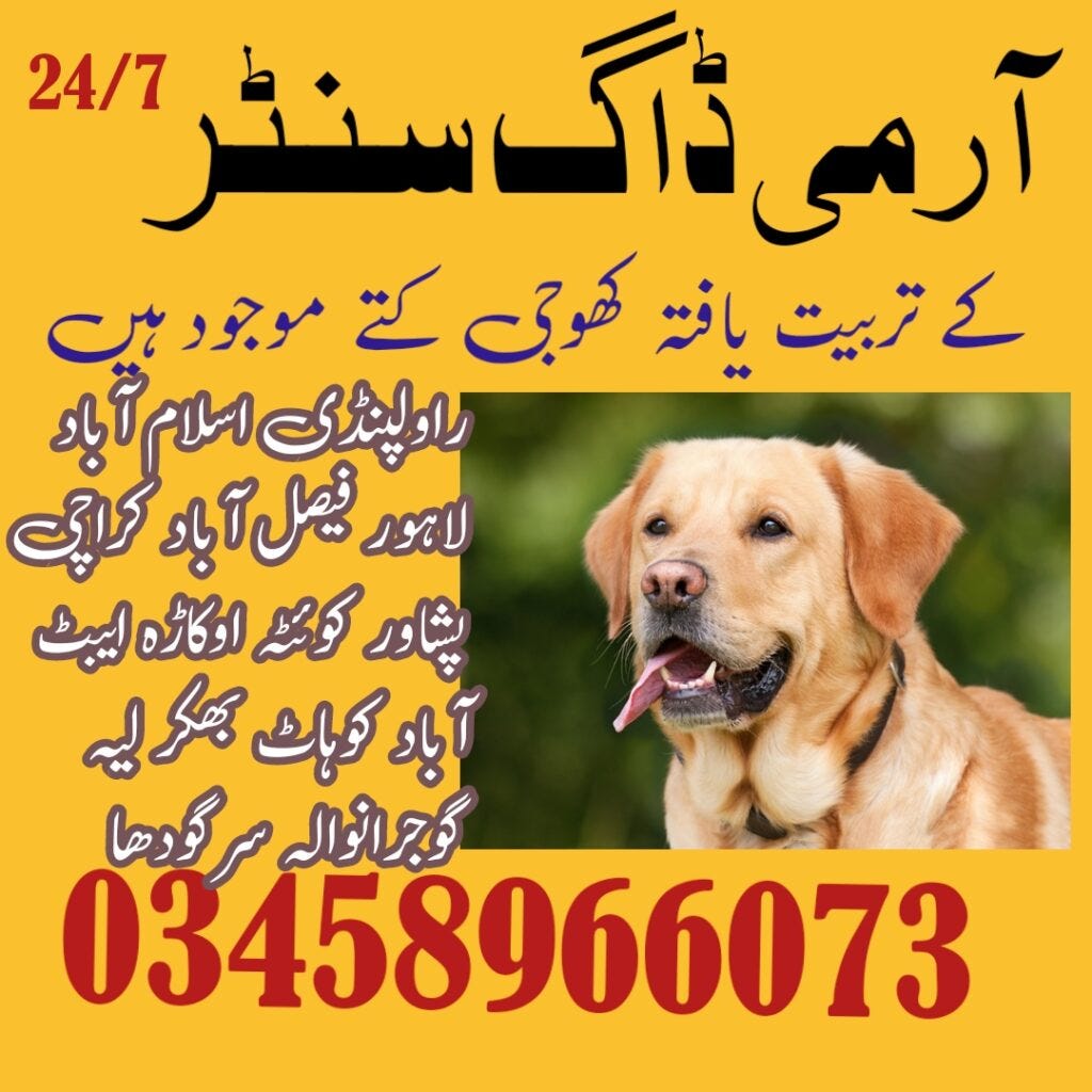 Army Dog Center Karachi 03009195279 Army Dog Center Medium