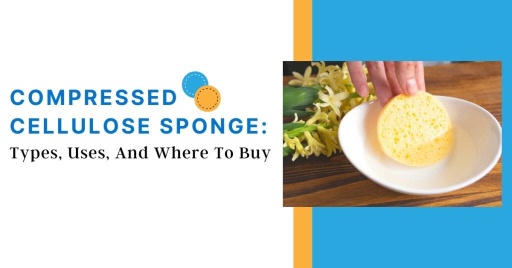 Compressed Cellulose Sponge Types, Uses, And Where To Buy Sponge