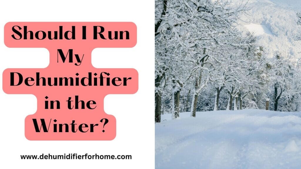 Should I Run My Dehumidifier in the Winter? dehumidifier for home