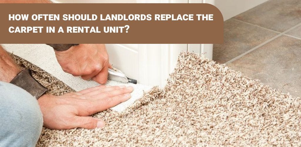 🏠🔁 Rental Revamp How Often Should Landlords Replace the Carpet in a