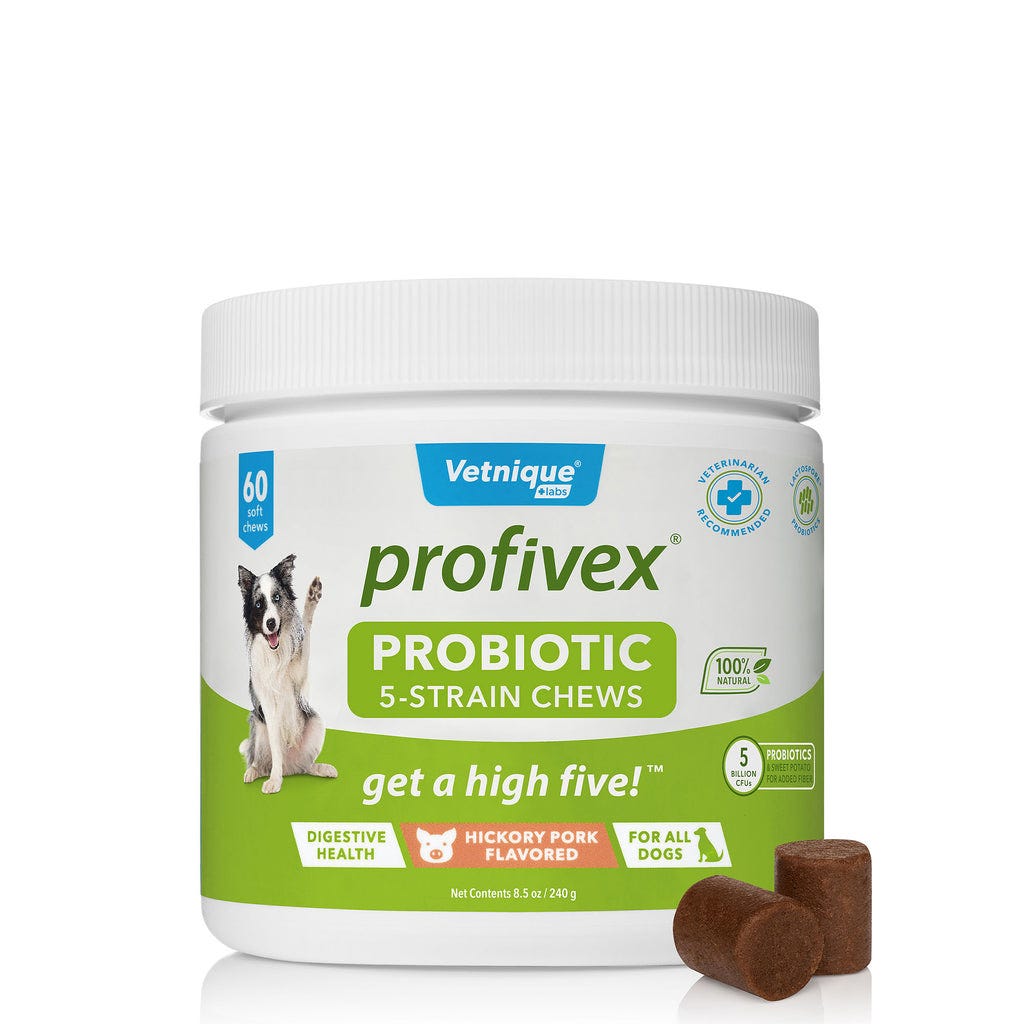 Choosing the Right Probiotic Dog Treats for Your Furry Friend Glandex