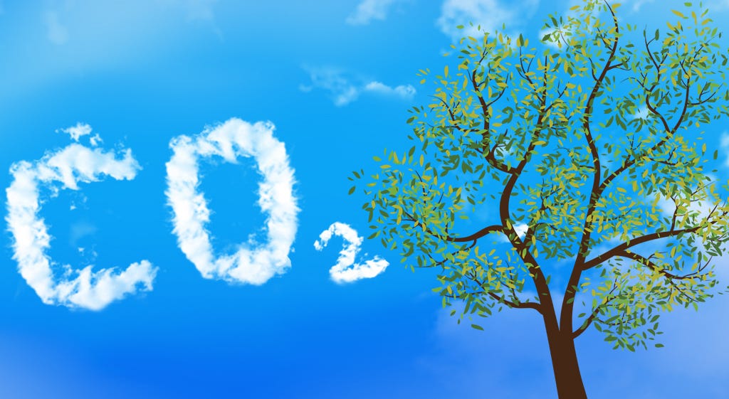 Trees and Carbon Dioxide What Is the True Connection? by R. Philip