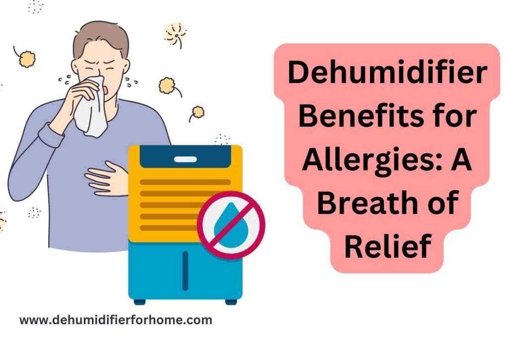 Dehumidifier For Allergic Rhinitis at Vicki Watson blog