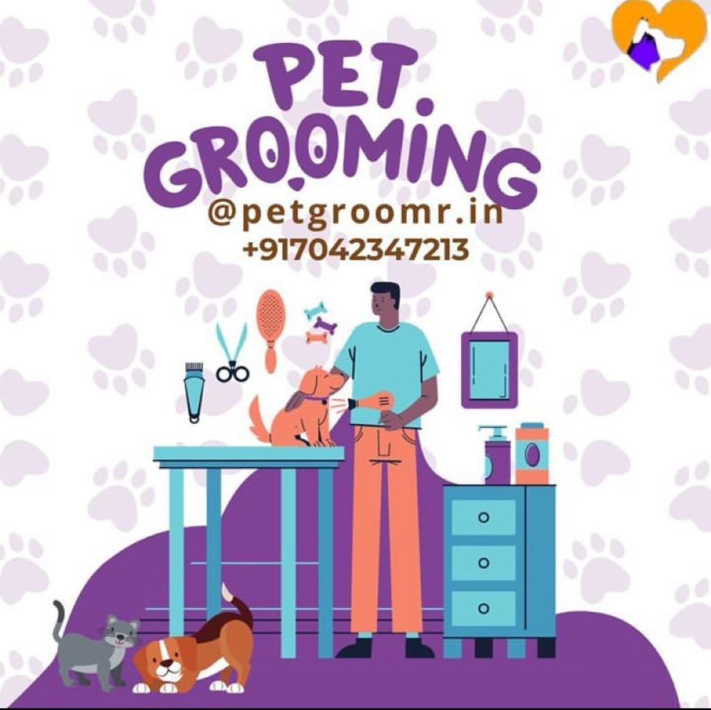 Mobile Dog Grooming Near Me. Discover the convenience of topnotch