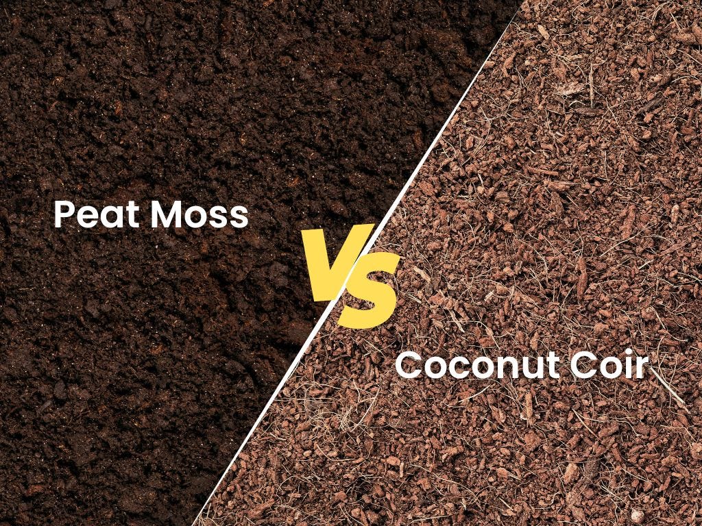 Coconut Coir vs. Peat Moss Which is the Better Growing Medium? by