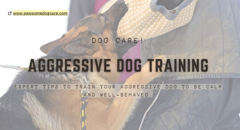 Aggressive Dog Training Tips. Dealing with an aggressive dog can be
