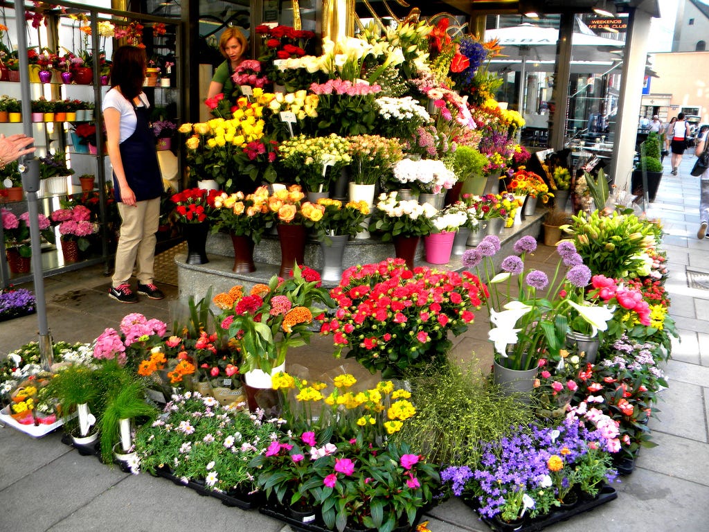 How to Choose Best Flowers from Florist Shop and Send it to the Special