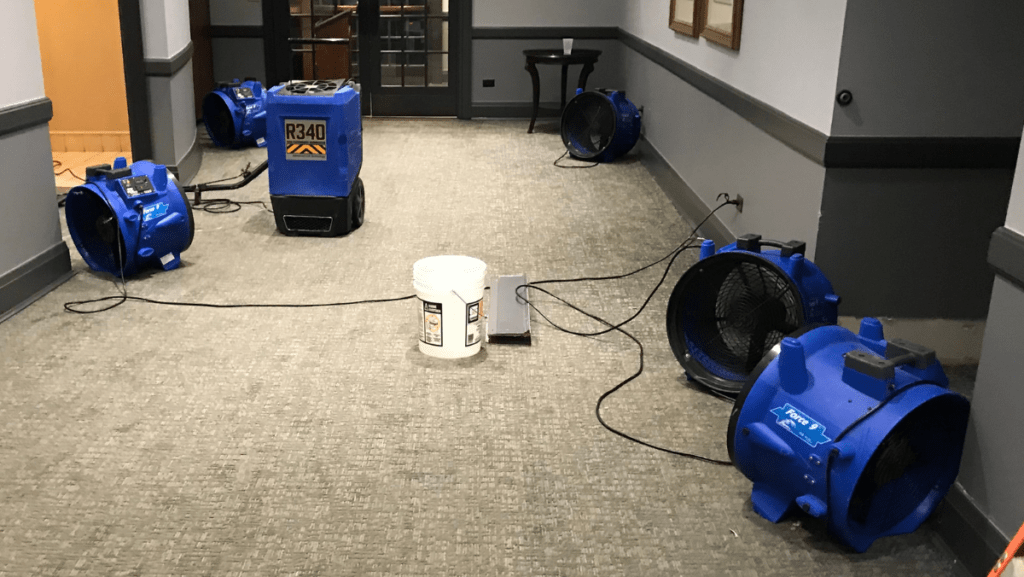 Why Restoration Experts Prioritize Health and Safety in Water Damage