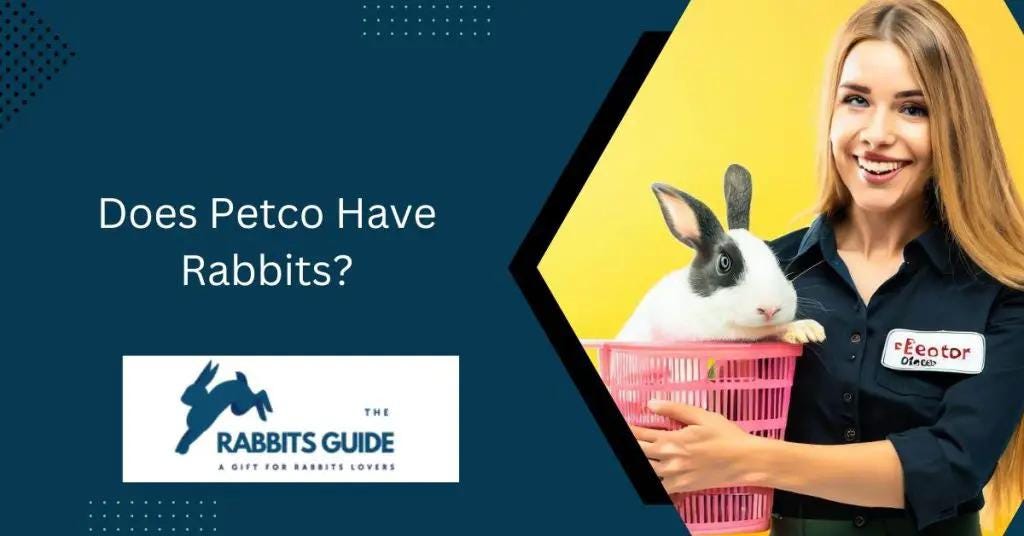 Does Petco Have Rabbits?. Petco, one of the largest pet retail… by