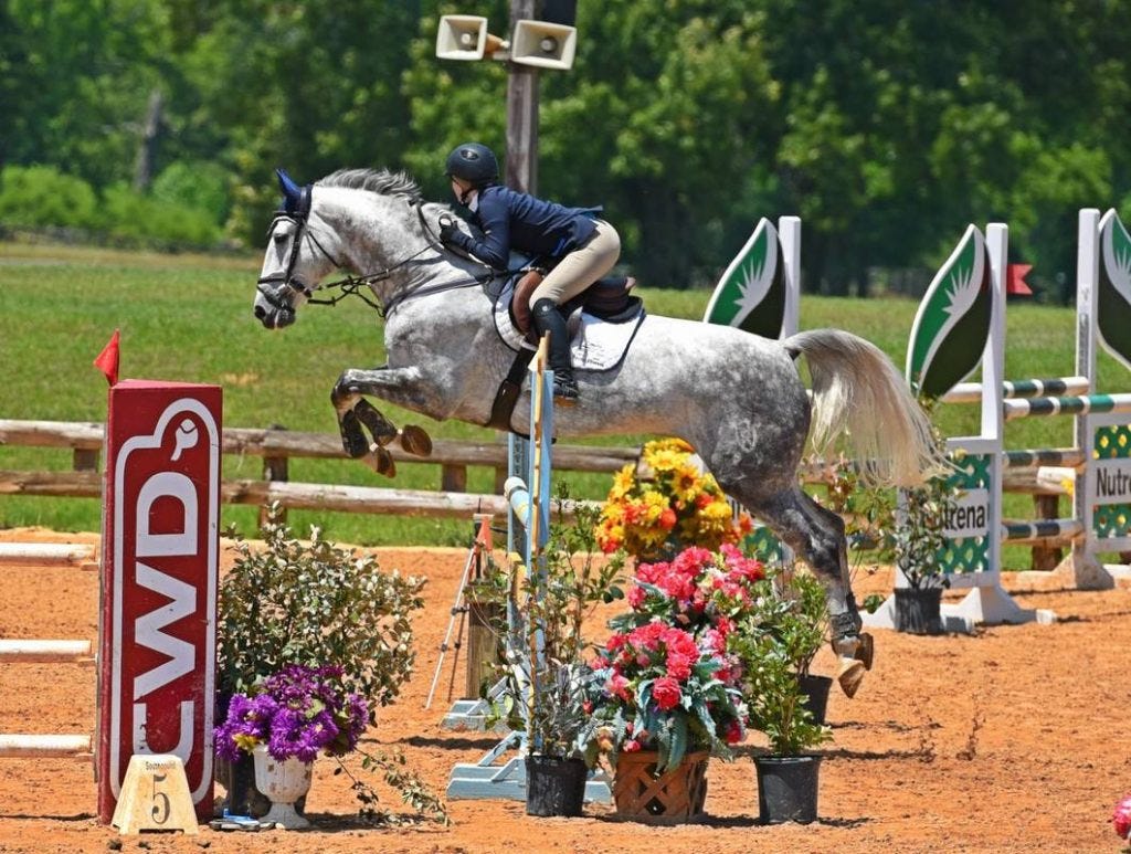 Train your Horse for Horse Show Jumping with Experts Stassy Hiller