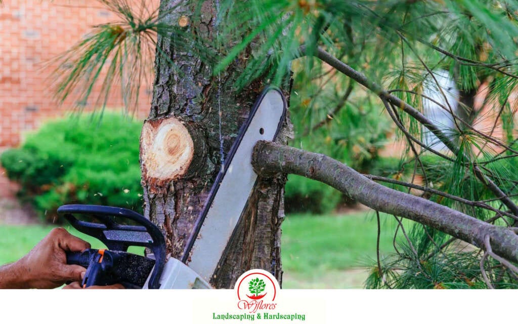 WHAT SHOULD YOU DO WITH A DEAD TREE IN YOUR YARD? by WJFlores