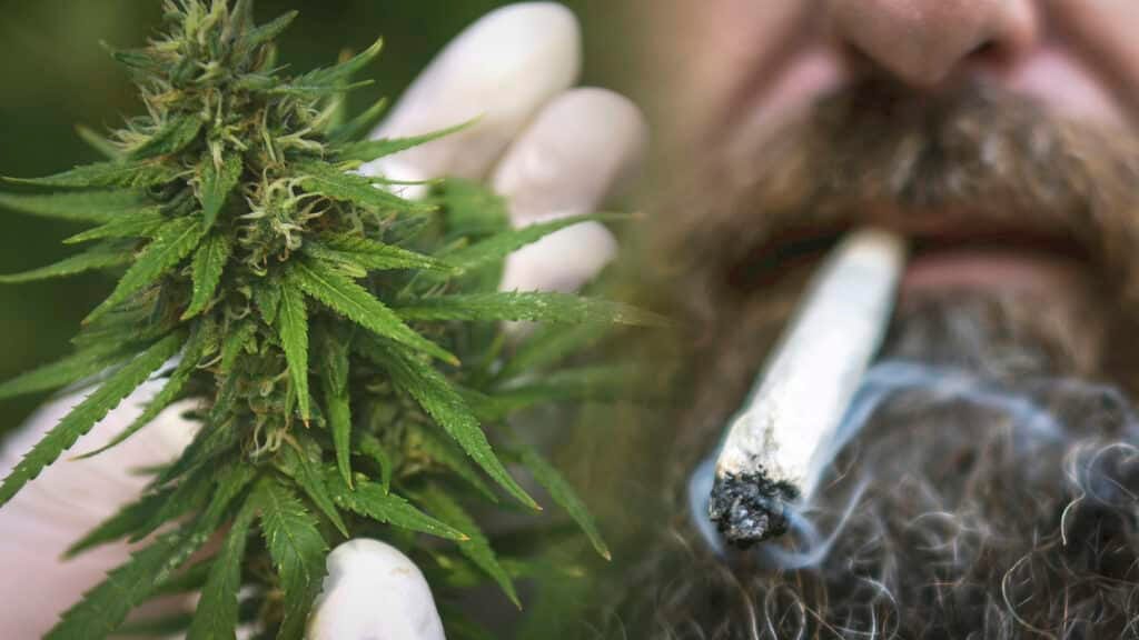 How to Stop Smoking Weed Reddit A Thorough Guide to Breaking Liberated