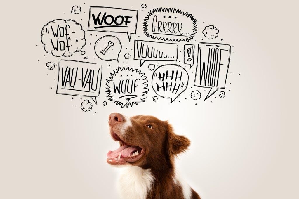 The Realm of Dog Language Secrets by Doggozine Magazine Aug, 2024