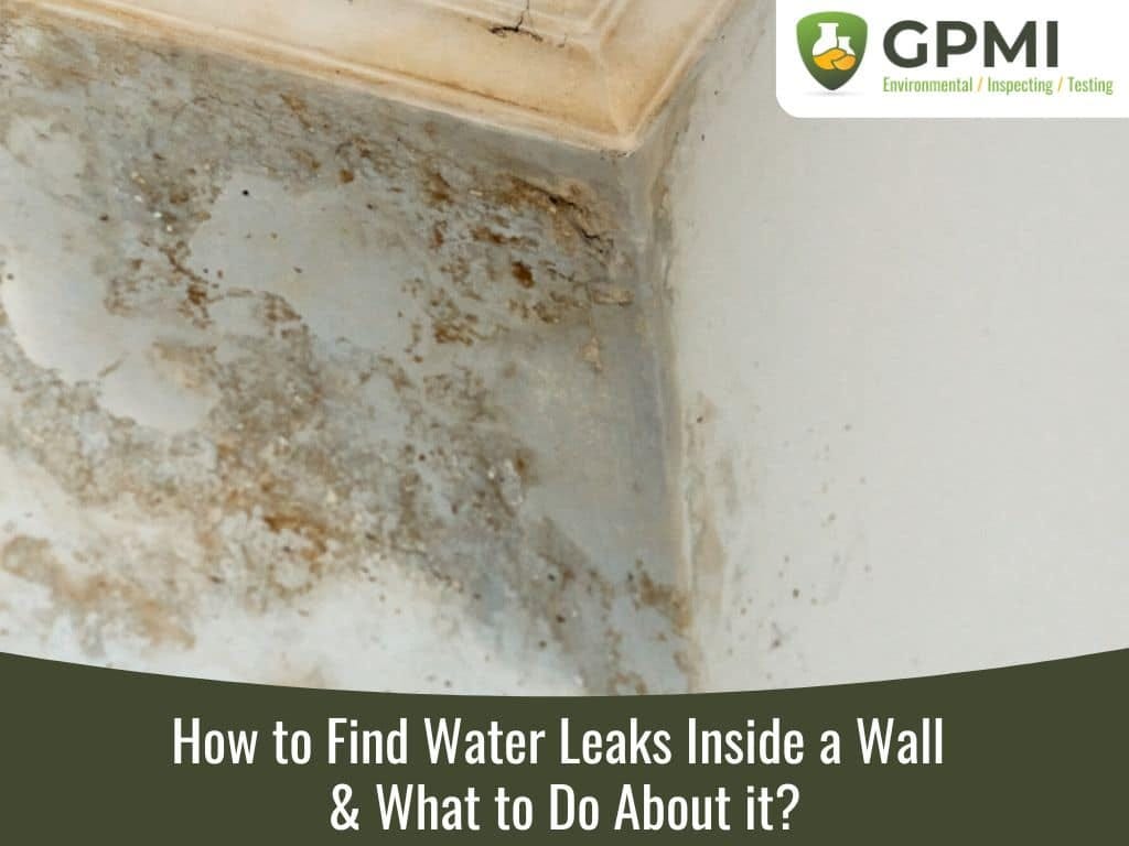 How to Find Water Leaks Inside a Wall & What to Do About it? by