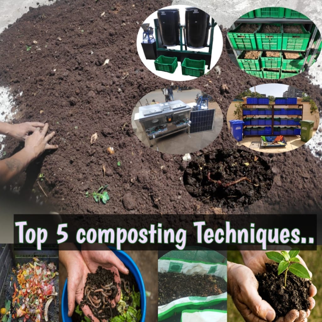 Top 5 Composting techniques which is easy to convert wet waste into