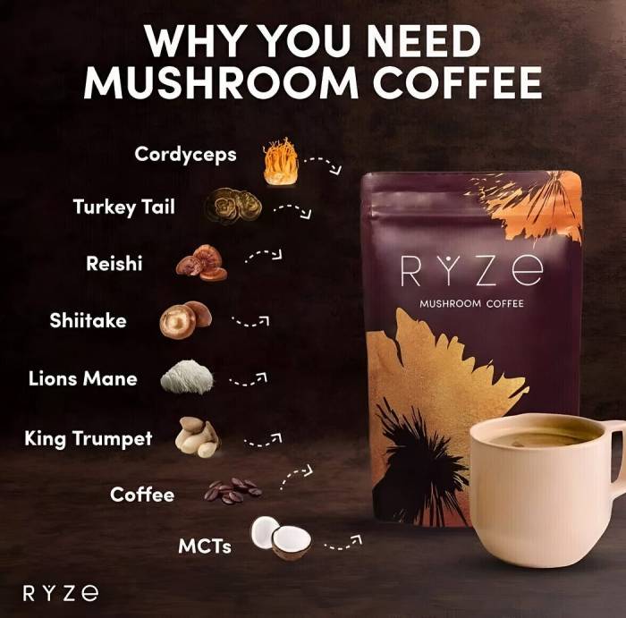 Ryze mushroom character