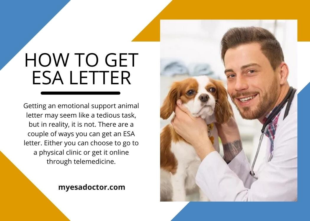 How to Get ESA Letter Myesadoctor Medium