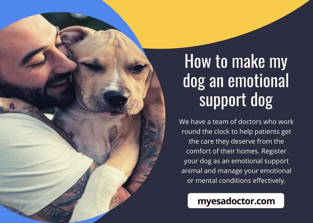 How To Make Your Dog An Emotional Support Dog by Myesadoctor Medium