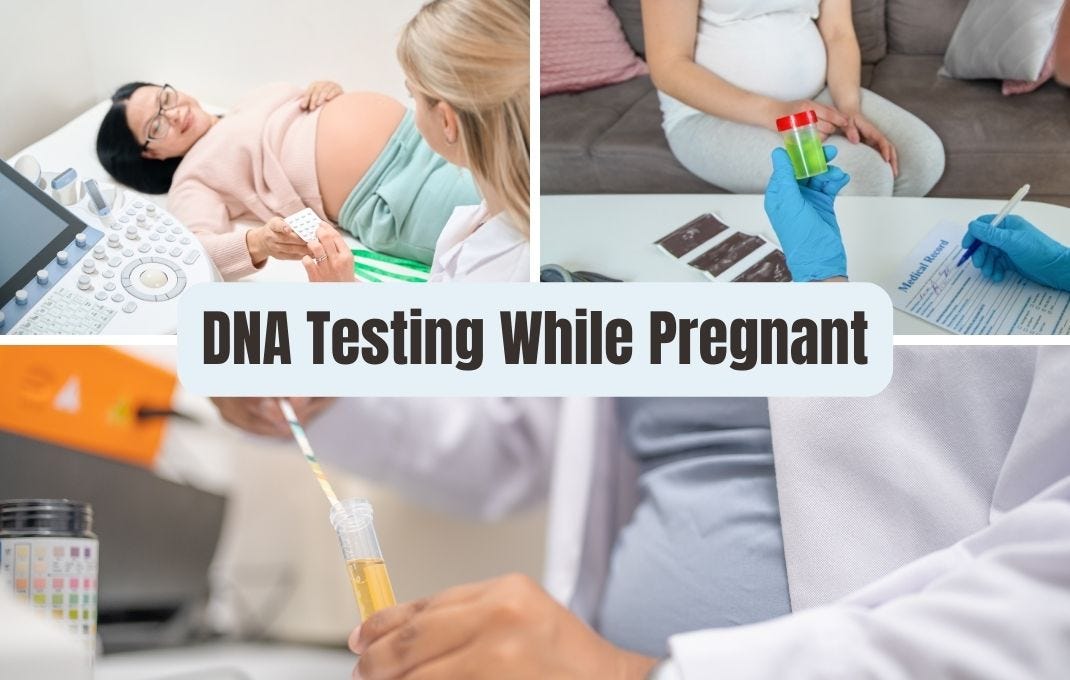 DNA Testing While Pregnant Unveil the Future Now by Writer, SEO