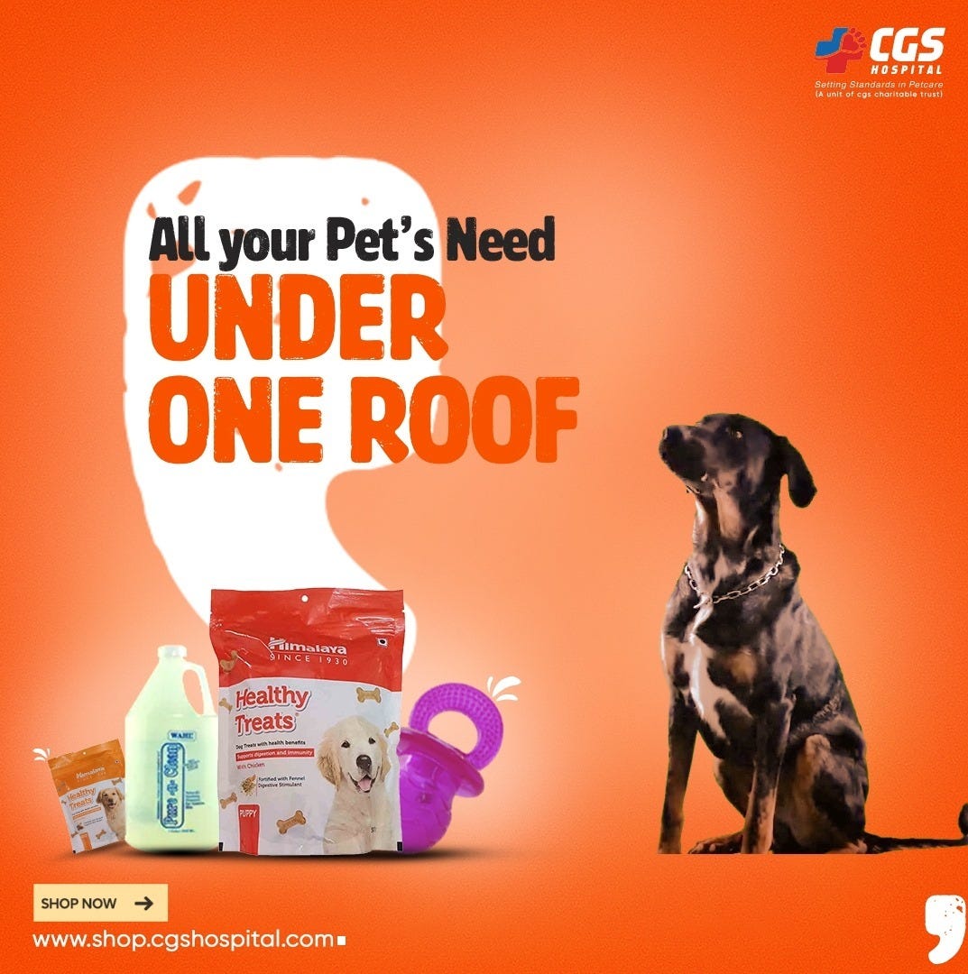 Best Pet Shops in Gurgaon CGS HOSPITAL cgs hospital Medium