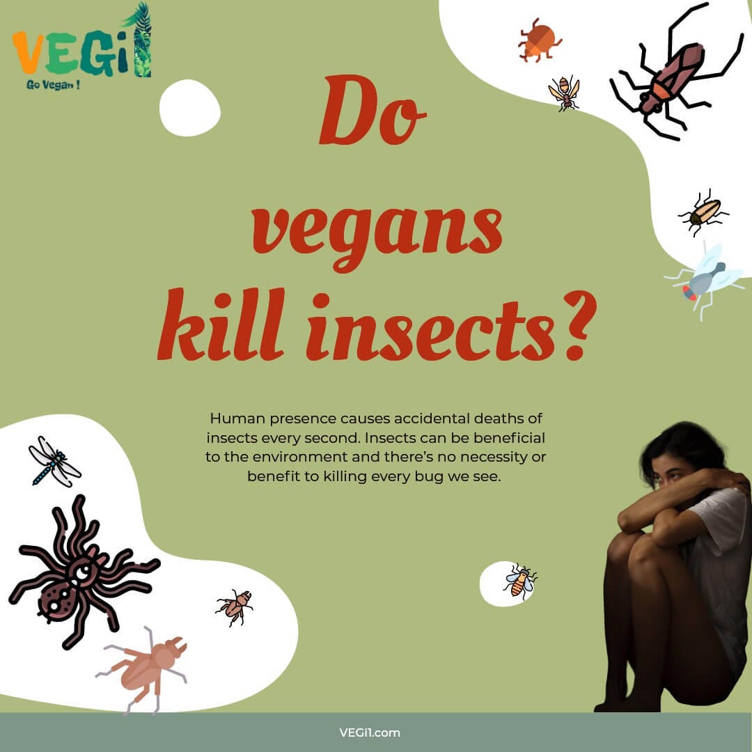 Do vegans/vegetarians kill insects? by 🌱VEGi1 Veganism Online magazine Medium