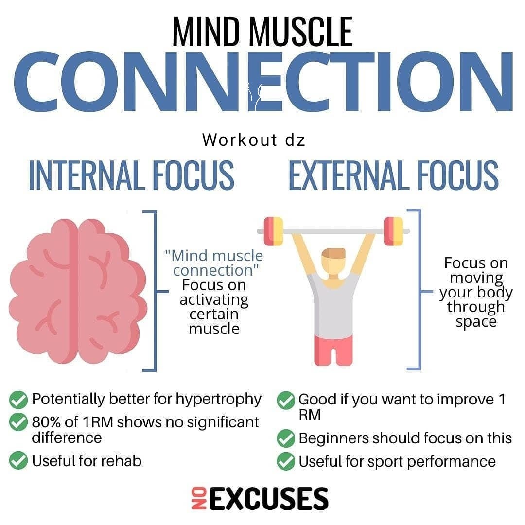 🔥Mind Muscle Connection🔥 There are two different ways to train through