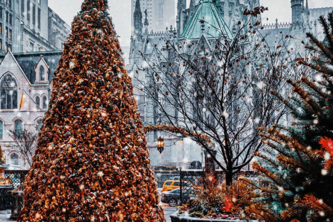 Free Christmas Tree Program — Free Christmas Tree near me by melonica