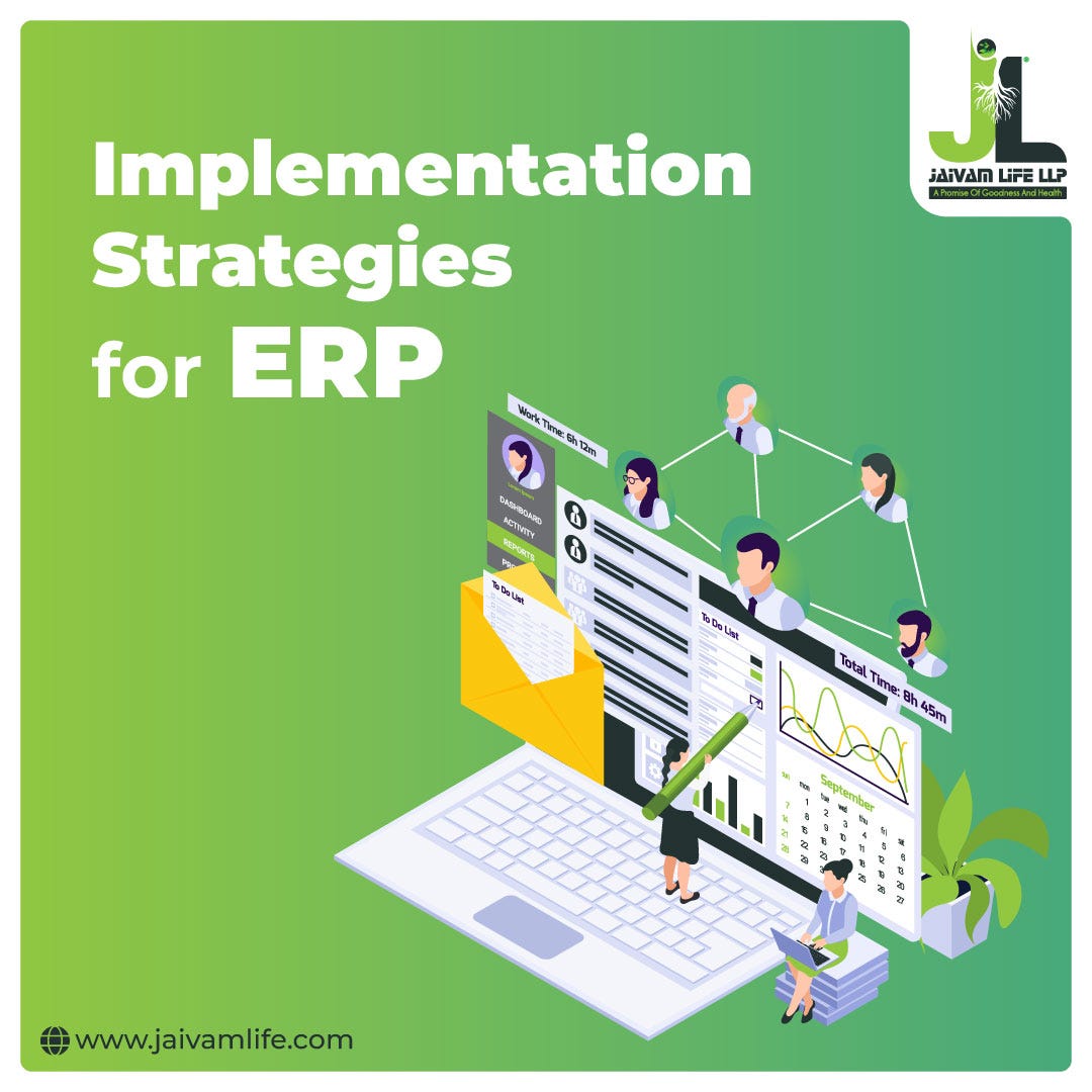 Enterprise Resources Planning — Implementation Strategies by