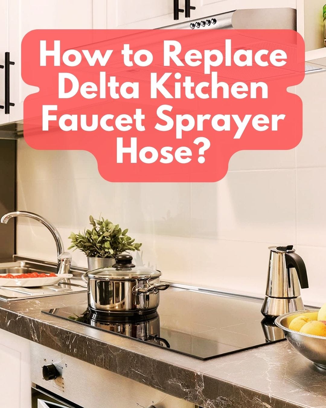 How to Replace Delta Kitchen Faucet Sprayer Hose? Best Reviews For