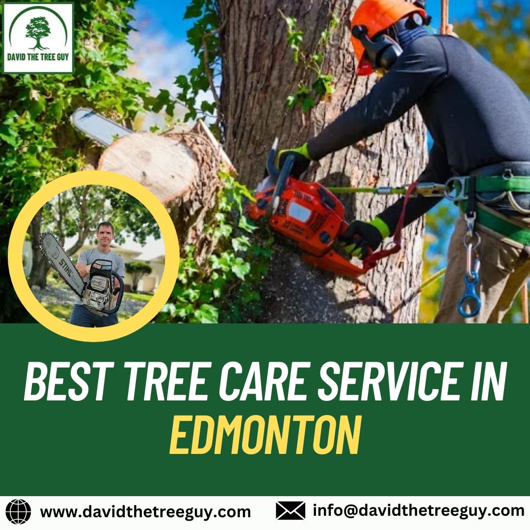 Best Tree Care Service in Edmonton David The Tree Guy Medium